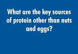 What are the key sources of protein other than nuts and eggs?