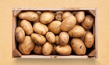 Potato: The boon to health