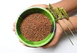 The Incredible Health Benefits Of Finger Millets (Ragi)