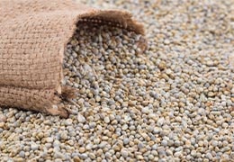Nutrition & Health Benefits Of Pearl Millets