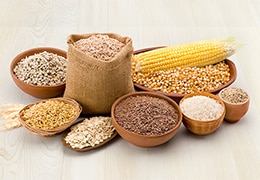Dietary fibre: the basis of a healthy diet