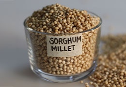 Gluten-Free Grains: Types, Benefits and Recipes