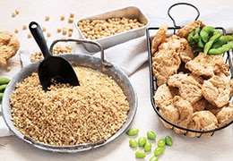 Soy Protein: Sources, Benefits and Recipes