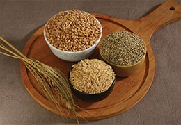 The Grain Guide: Exploring the Nutritional Perks of Millets, Rice, Wheat and Others