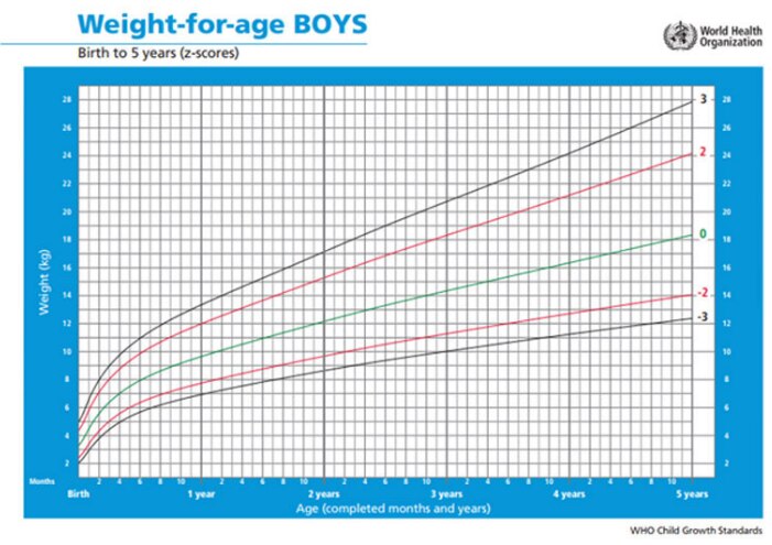 Growth graph4