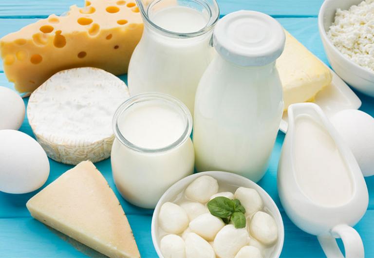 Role of dairy products in supporting healthy immune system in children