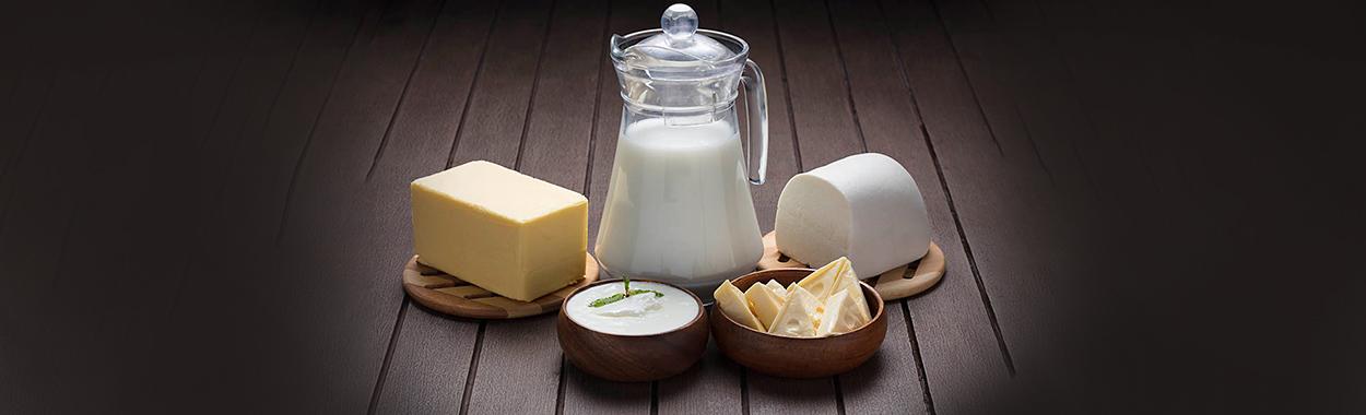 Role of dairy products in supporting healthy immune system in children