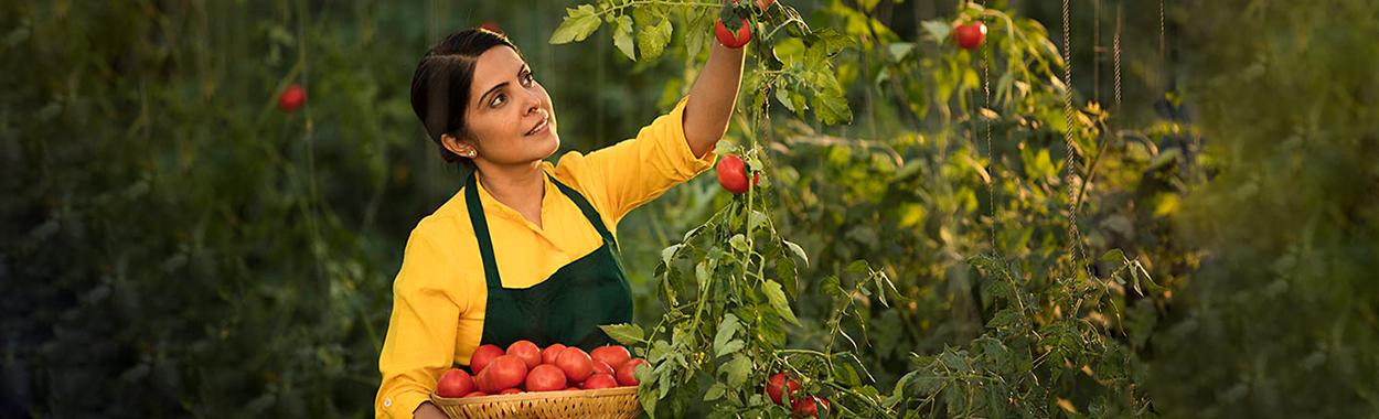 All you need to know about the benefits of organic foods